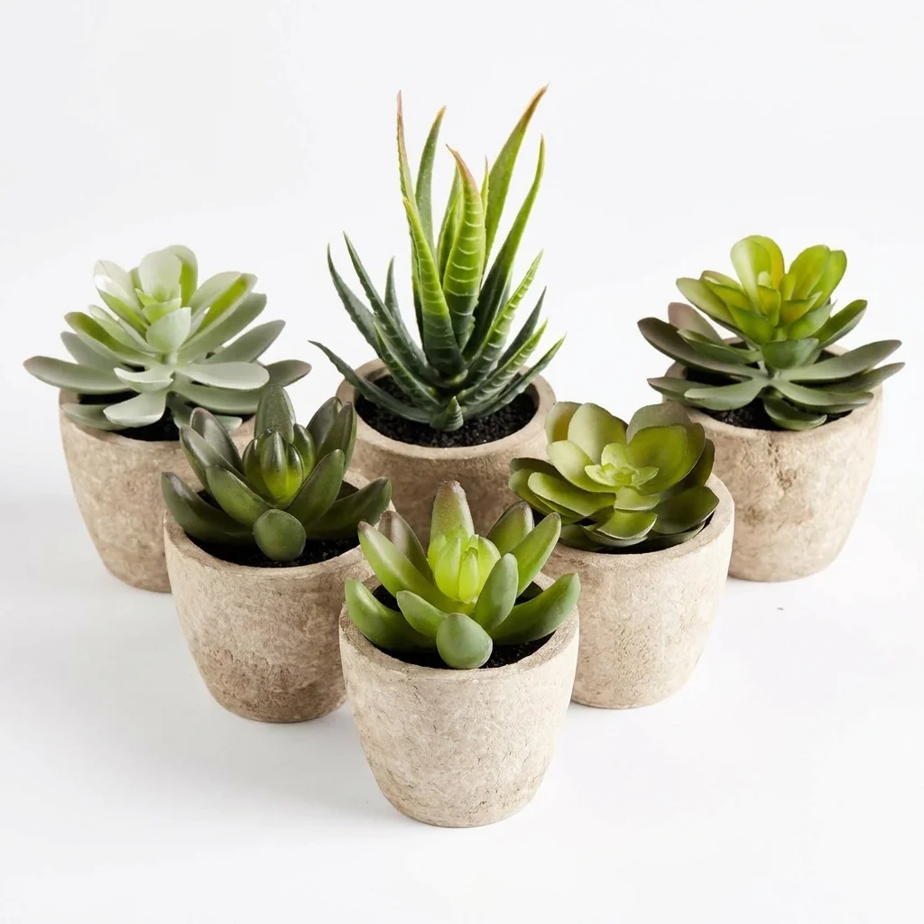 PRIMAISON Artificial Succulent Plants Set of 6 – image 1